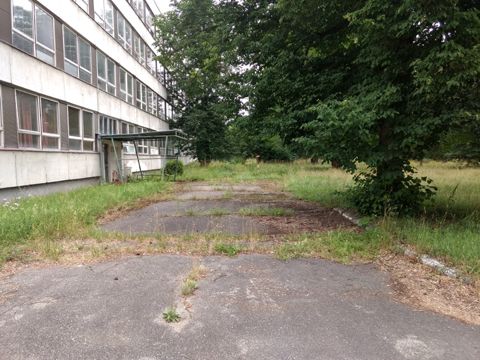 Foto 43